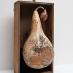 Irene Briant, Detritus, 2024