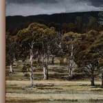 Stephanie Tabram, Wattle & Tarnished Silver, 2022