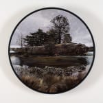Stephanie Tabram, Wattle & Tarnished Silver, 2022
