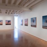 Philip Wolfhagen, Shepherd’s warning no.10, 2024