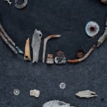 Irene Briant, Detritus, 2024