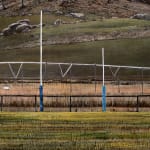 Stephanie Tabram, Grassroots (pivot and posts) , 2024