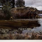 Stephanie Tabram, Wattle & Tarnished Silver, 2022