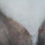 Lucinda Bresnehan, Wellspring, 2025