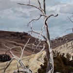 Stephanie Tabram, Wattle & Tarnished Silver, 2022