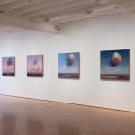 Philip Wolfhagen, Shepherd’s warning no.10, 2024