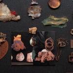 Irene Briant, Detritus, 2024