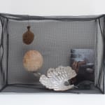 Irene Briant, Detritus, 2024