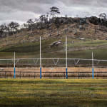 Stephanie Tabram, Grassroots (pivot and posts) , 2024