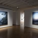 Michaye Boulter, We contain multitudes VIII, 2021