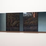 Michaye Boulter, Fall, 2023-24