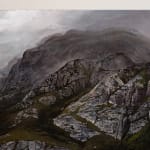 Stephanie Tabram, Wattle & Tarnished Silver, 2022
