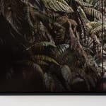 Stephanie Tabram, Wattle & Tarnished Silver, 2022