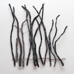 Irene Briant, Detritus, 2024