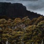 Stephanie Tabram, Wattle & Tarnished Silver, 2022