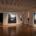 Michaye Boulter, We contain multitudes VIII, 2021