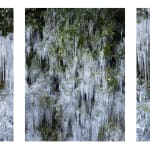 Sarah Rhodes, Ice Waterfall 1, II, III, 2022