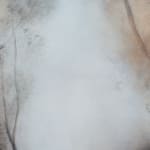 Lucinda Bresnehan, Wellspring, 2025