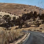 Stephanie Tabram, Wattle & Tarnished Silver, 2022