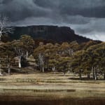 Stephanie Tabram, Wattle & Tarnished Silver, 2022