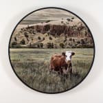 Stephanie Tabram, Wattle & Tarnished Silver, 2022