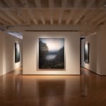 Michaye Boulter, We contain multitudes VIII, 2021