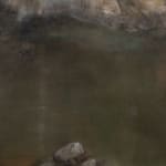 Lucinda Bresnehan, Wellspring, 2025