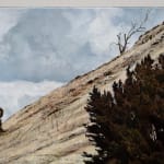 Stephanie Tabram, Wattle & Tarnished Silver, 2022