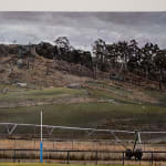 Stephanie Tabram, Grassroots (pivot and posts) , 2024