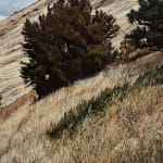 Stephanie Tabram, Wattle & Tarnished Silver, 2022
