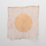 Irene Briant, Detritus, 2024