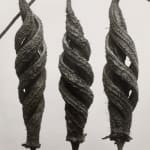 Karl Blossfeldt, (7) Still Lifes