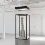 Adam Jeppesen, Untitled Fade - November 10th, 2012