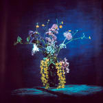 Brendan Barry, Hogweed, 2020
