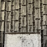 EJ Kim, 불멸(不滅), 2022