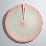 Heekyung Kim, Contemplation, 2022