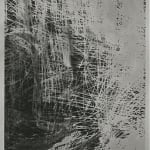 Anthony Pearson, Untitled (Solarization), 2009