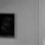 John Waters, Pig Latin, 2008