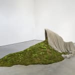 Thiago Rocha Pitta, The Green Shelter, 2017