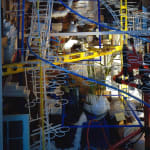 Sarah Sze, Still Life with Fish, 2005