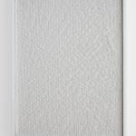 Anthony Pearson, Untitled (Etched Plaster), 2014