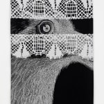 Claudia Wieser, We Are a Dream They Dream, 2025