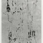 Anthony Pearson, Untitled (Solarization), 2009