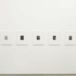Anthony Pearson, Untitled (Solarization), 2009