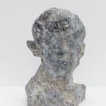 Tianyue Zhong, Passengers VII, 2025