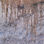 Thiago Rocha Pitta, Temporal maps of a non sedimented land #3, 2015