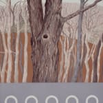 Kazaan Viveiros, American Sycamore