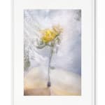 David Douglas, Invented Landscape at Kanawha Canal Pumphouse, 2025