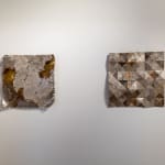 Steve Bickley, Silver Ash, 2025