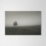 David Hillegas, Uniform